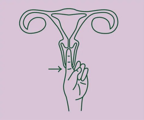 اكتشفي علامات الحمل في عنق الرحم بنفسك خطوة بخطوة